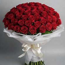 Букет 101 Красная роза Блэк Мэджик #REPLACE_PRED# Обухово