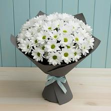 Букет цветов из:  Хризантемы в Обухово