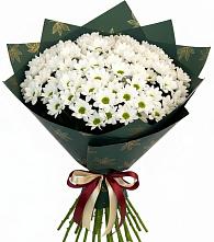 Букет цветов из:  Хризантемы #REPLACE_PRED# Обухово