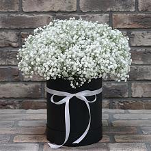 Цветочная композиция из Гипсофила в шляпной коробке в Обухово