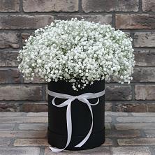 Цветочная композиция из Гипсофила в шляпной коробке в Обухово